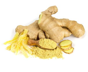 the root of ginger